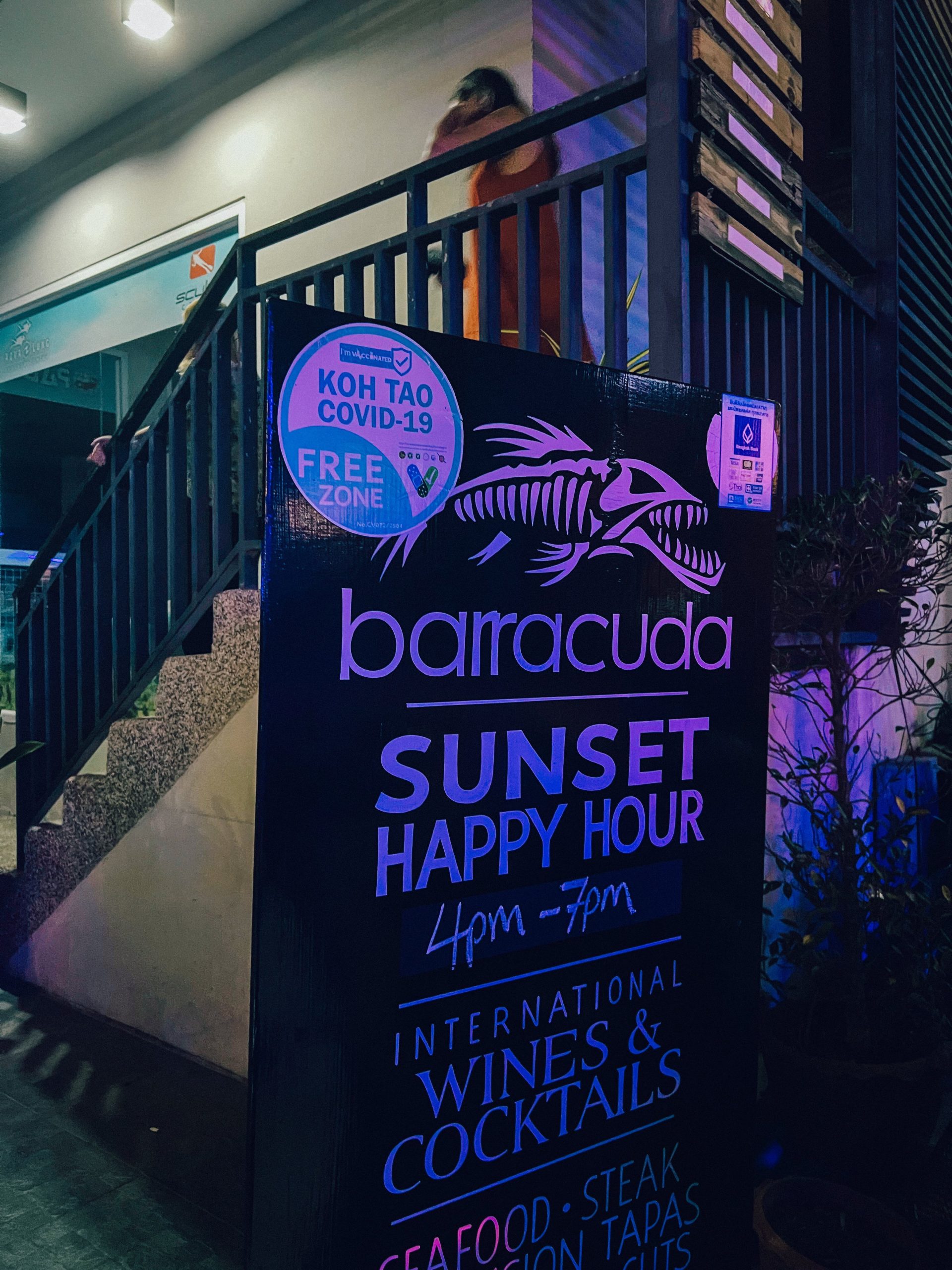 1 barracuda