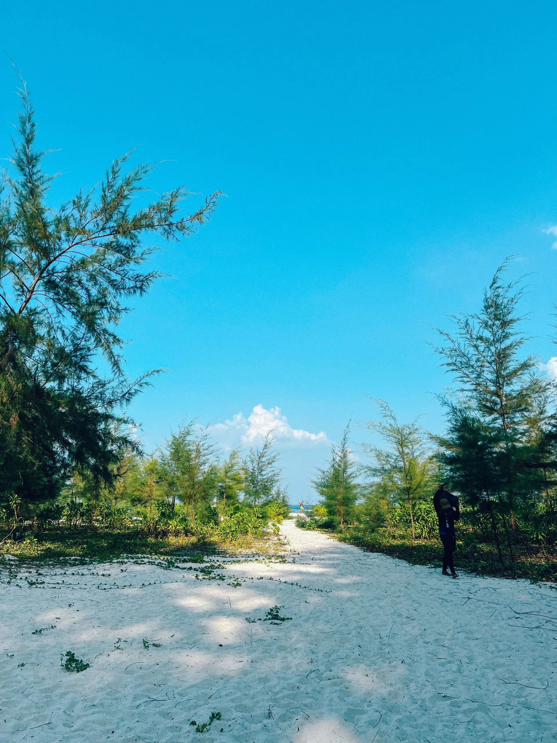 Bamboo Island beach area