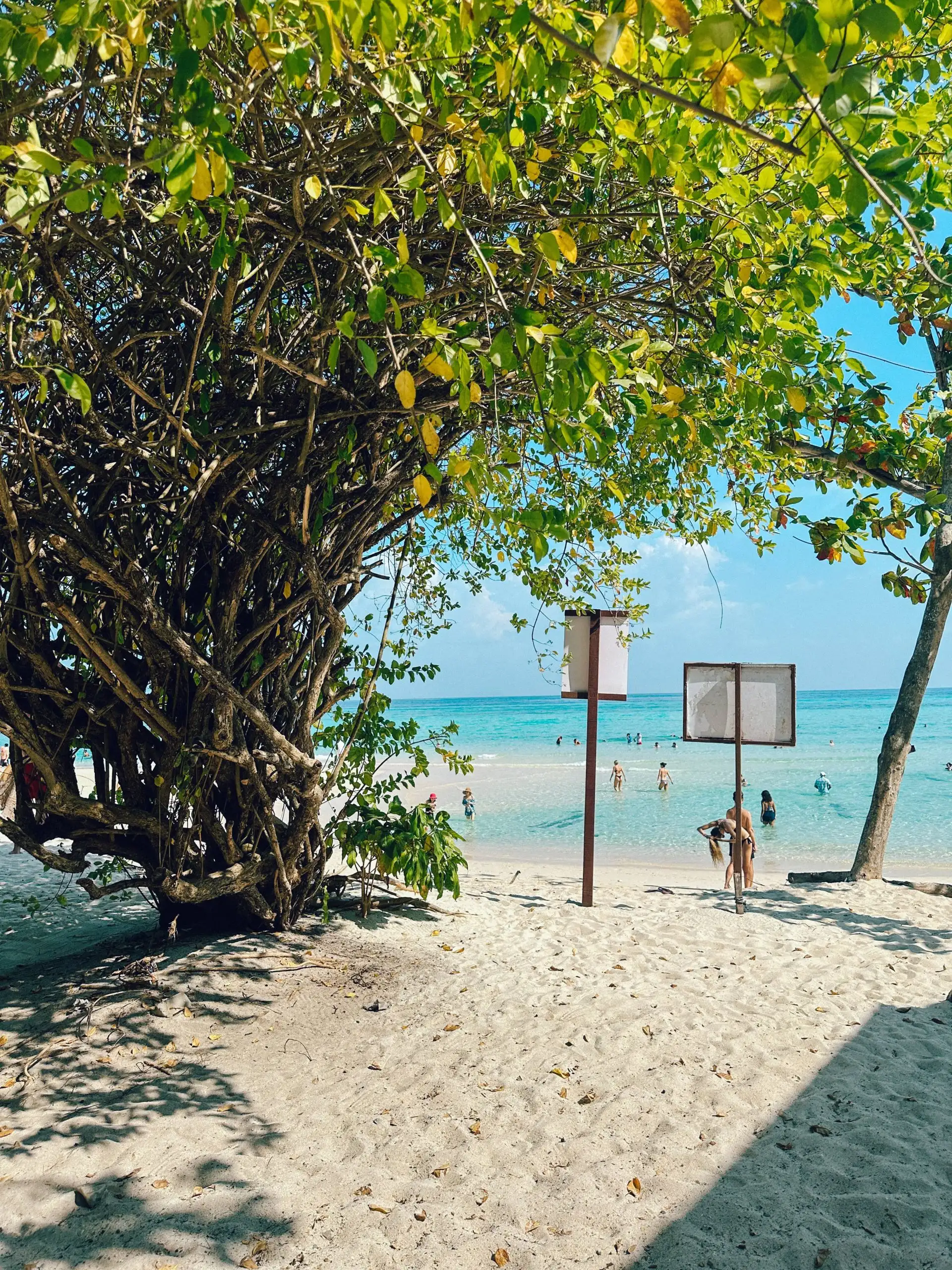 Bamboo Island beach