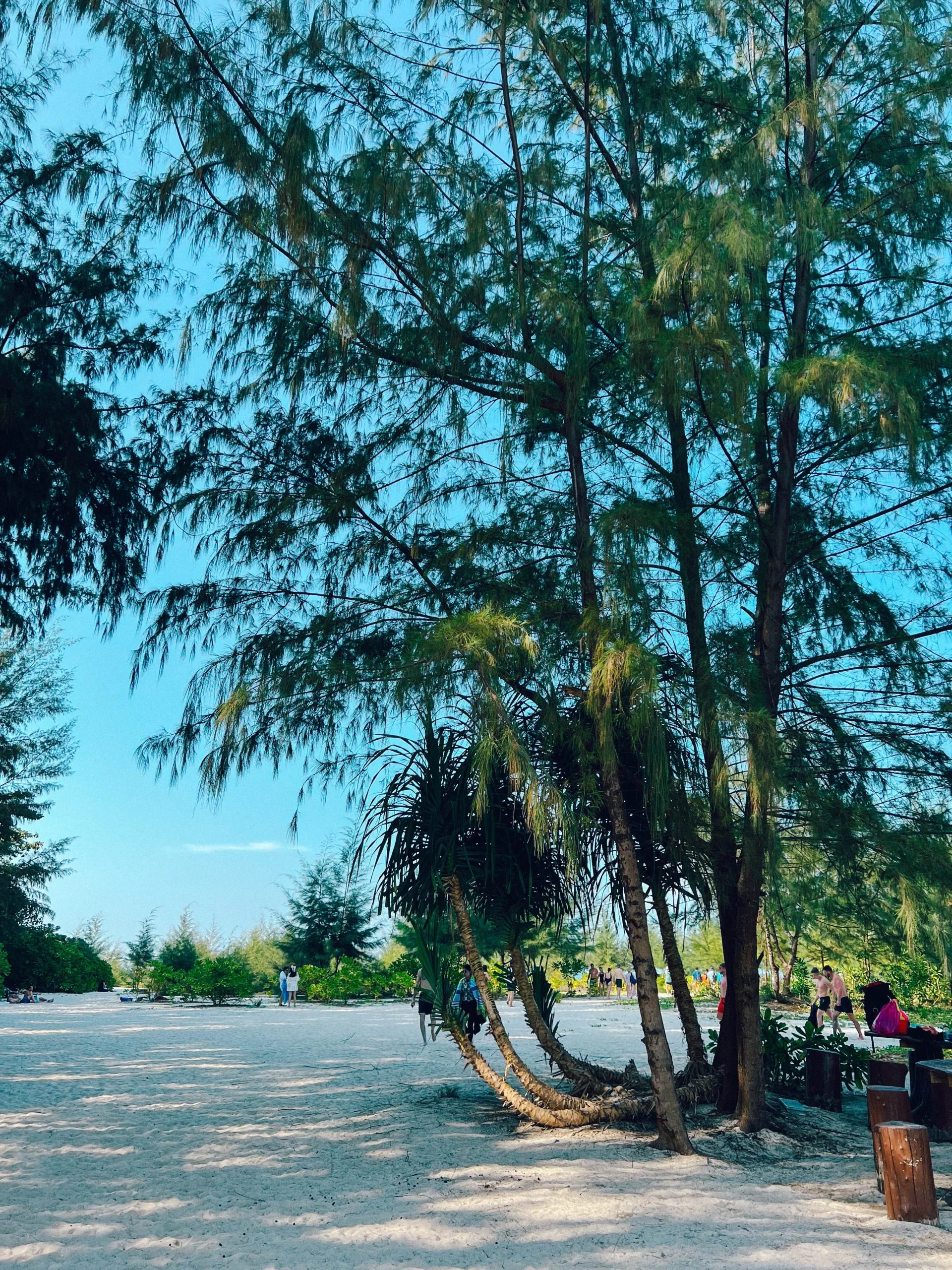 Bamboo Island