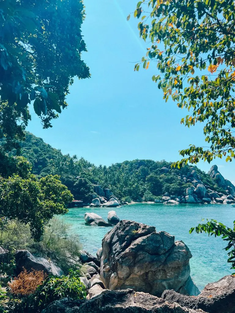 Freedom Beach View