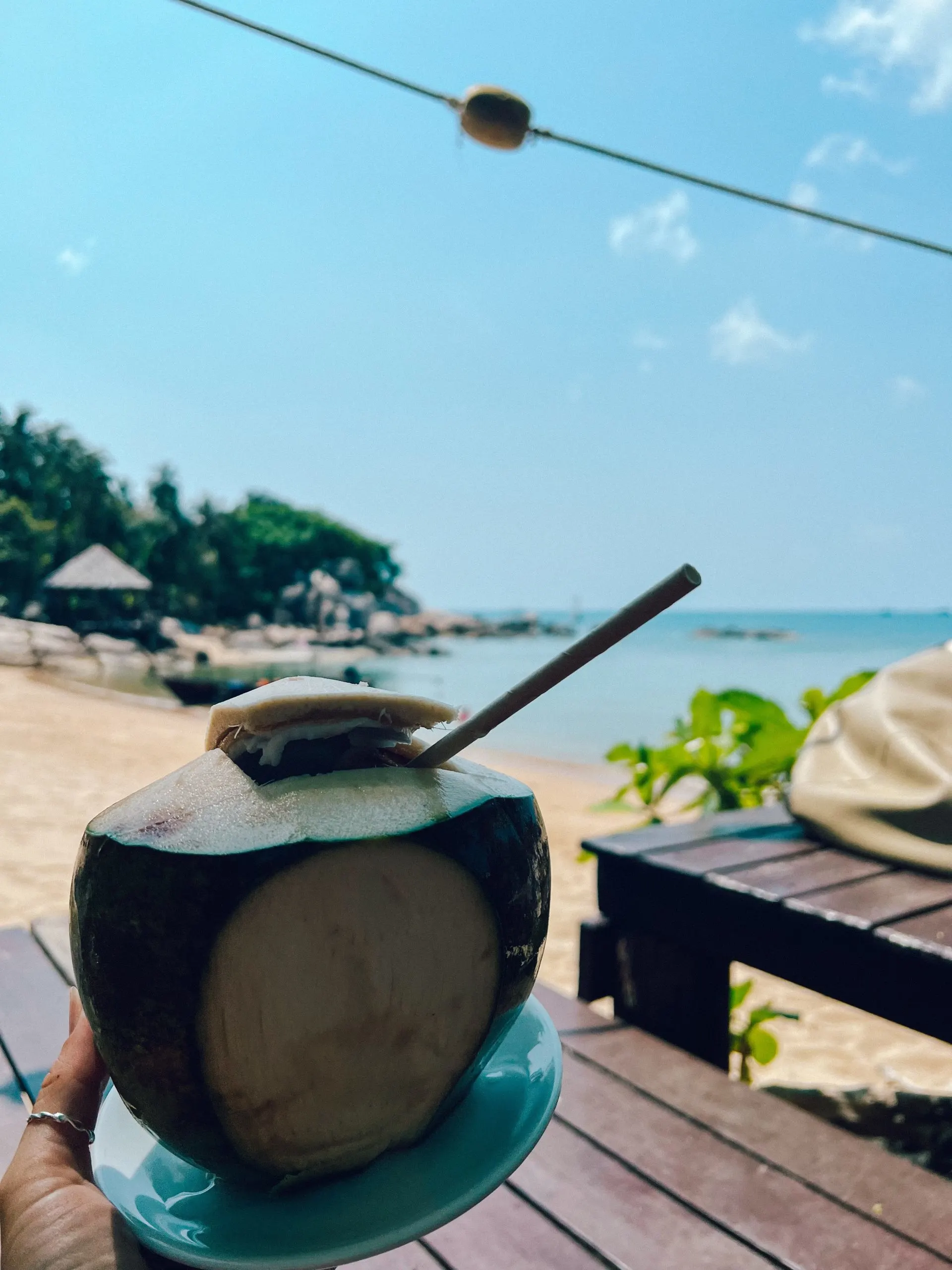 Fresh coconuts at Sensi Paradise