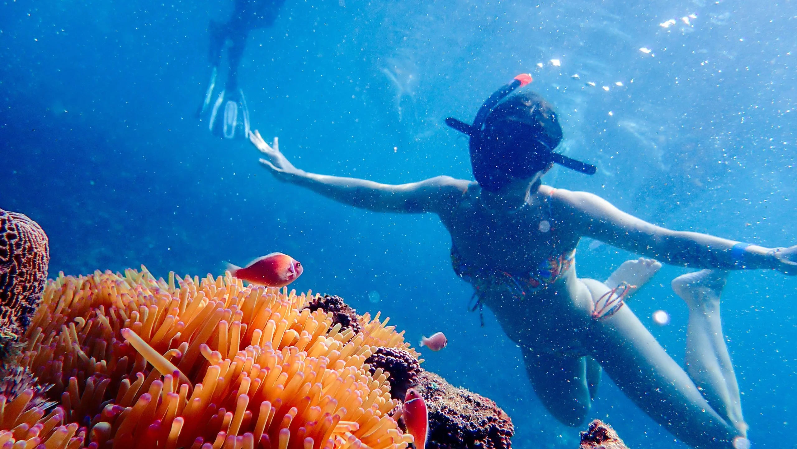 Girl with Fish Snorkelling
