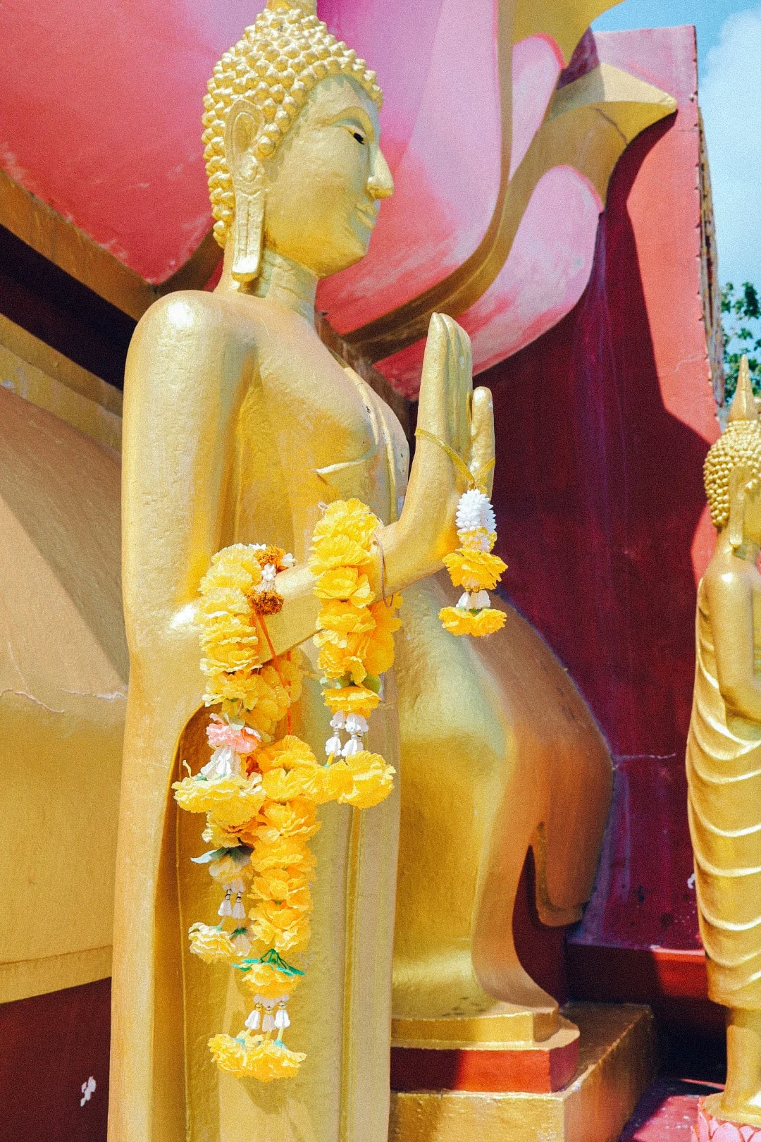 Golden buddha at temple