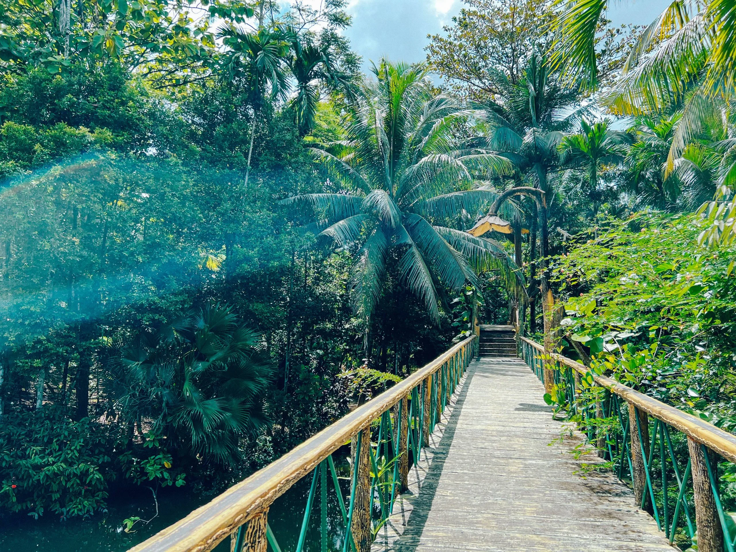 Jungle walkways