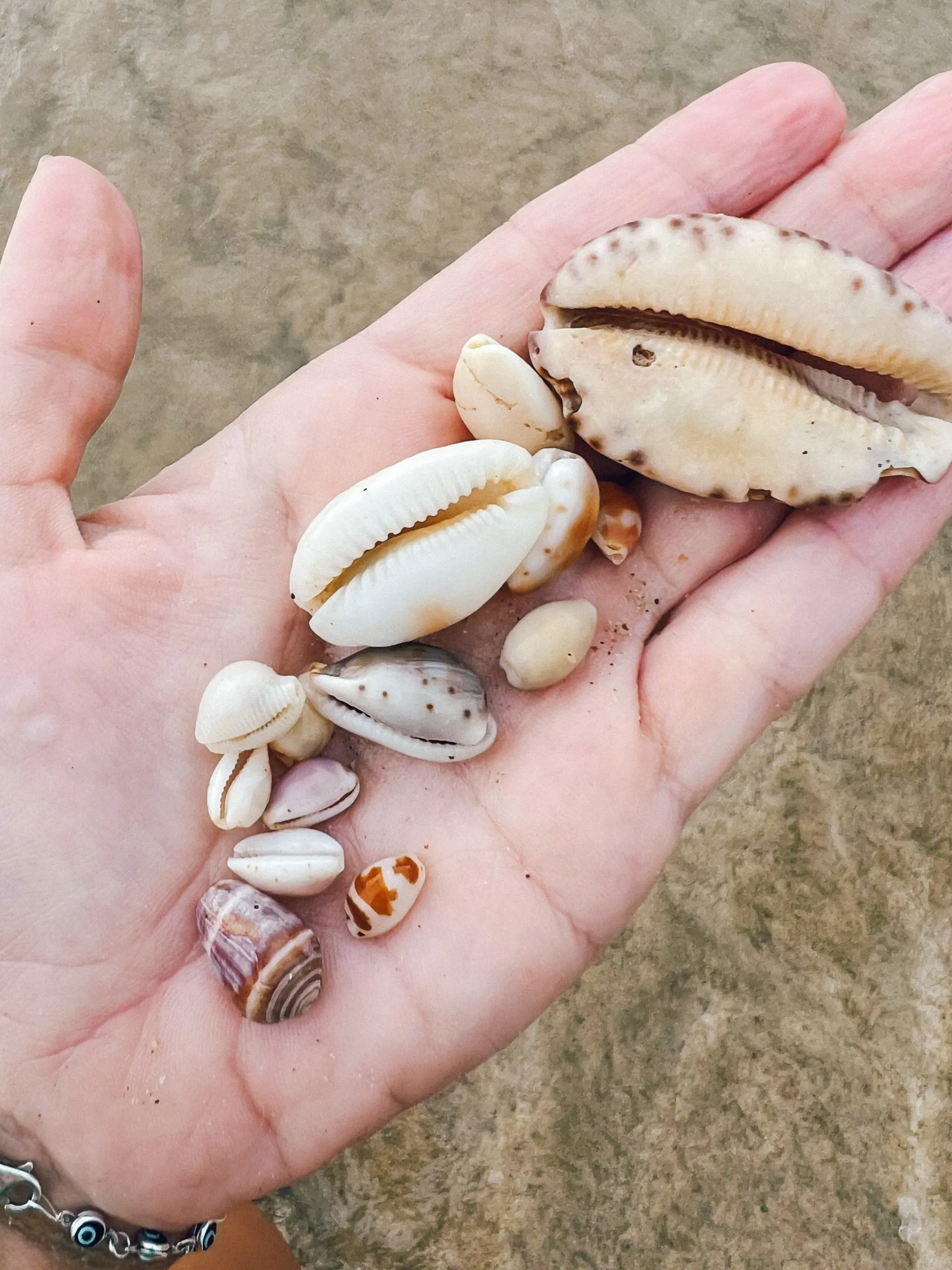 Keep seashells on the beach
