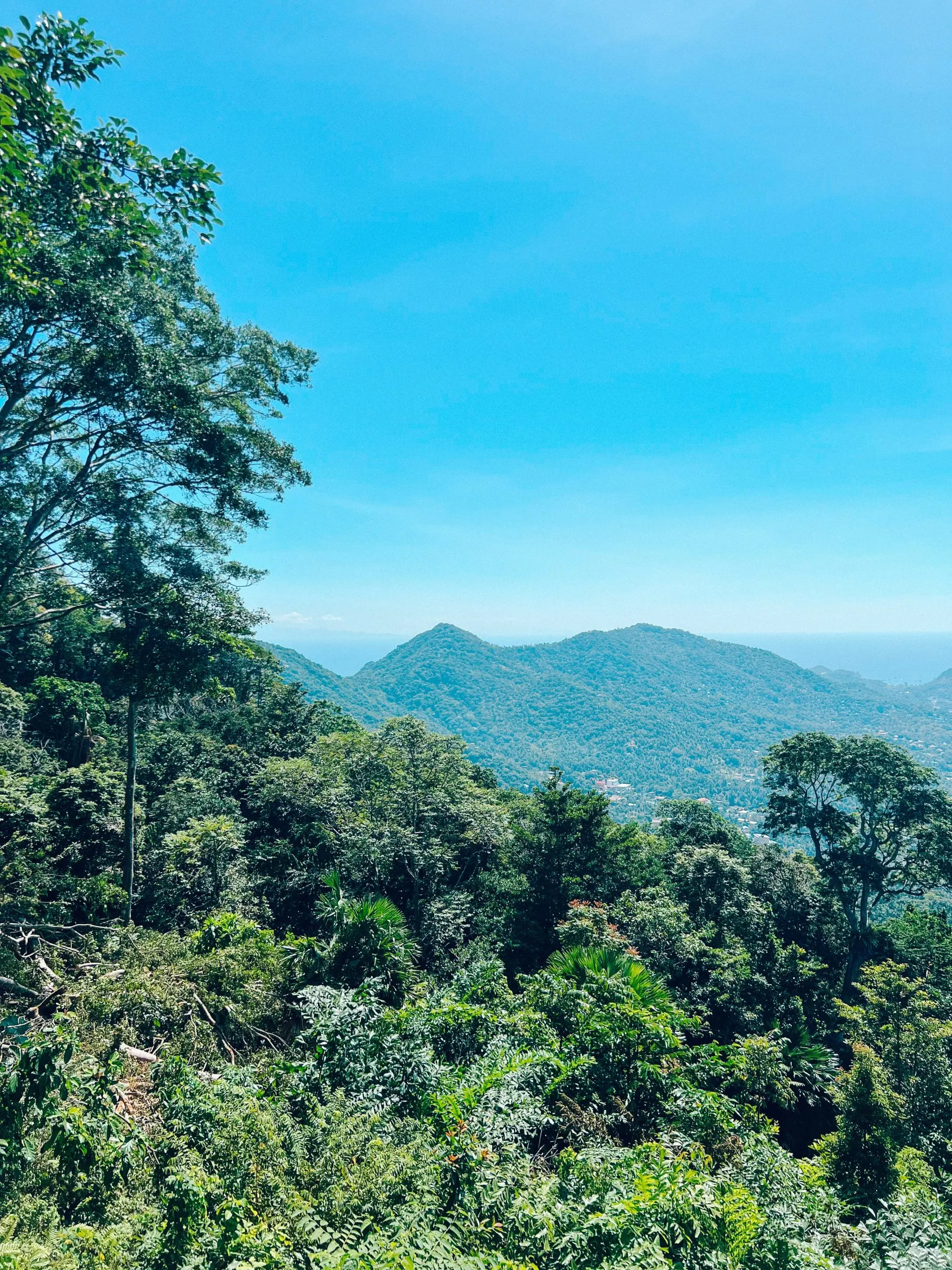 Mango Bay Viewpoint Koh Tao