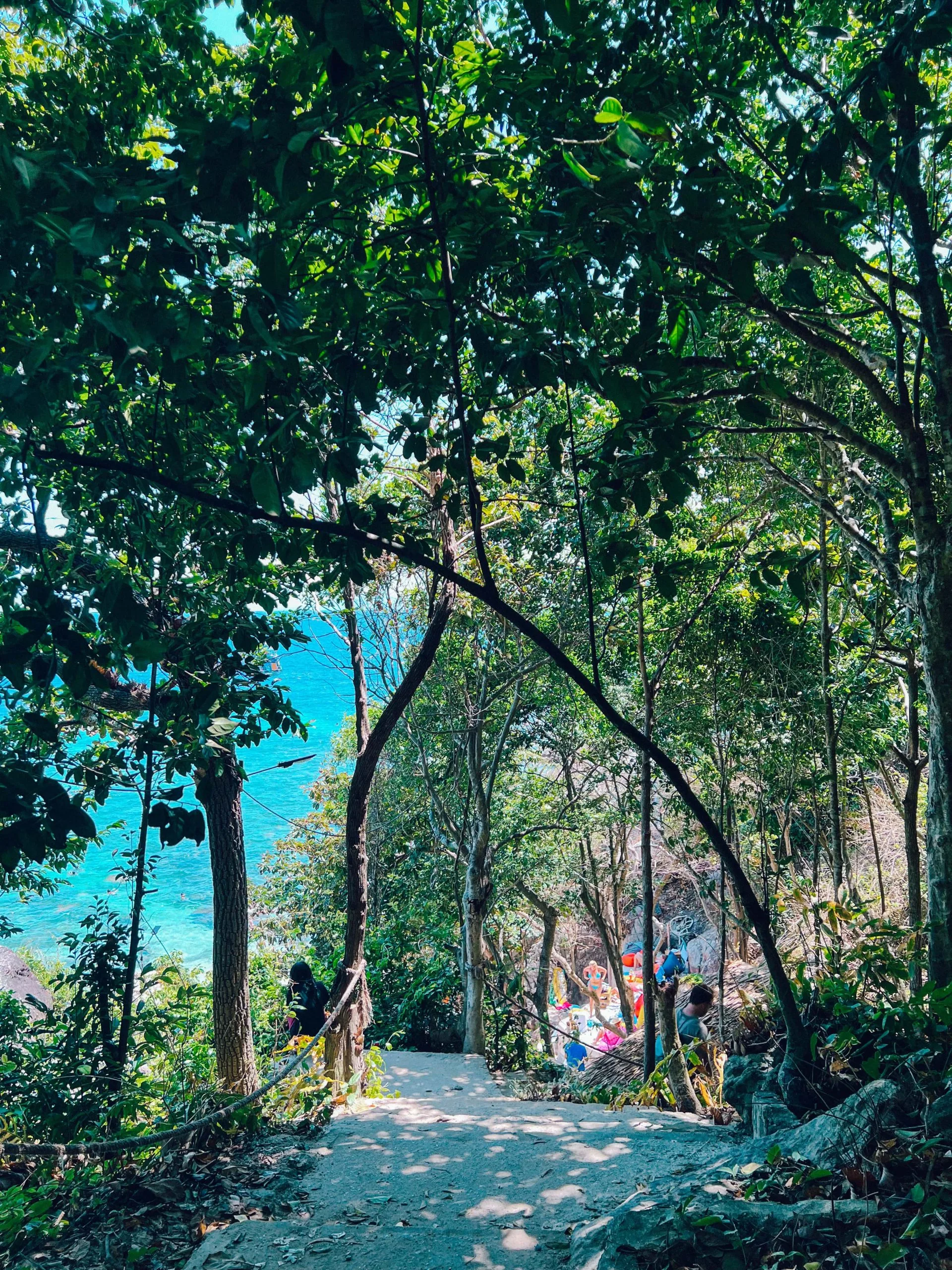 Path down to Shark Bay