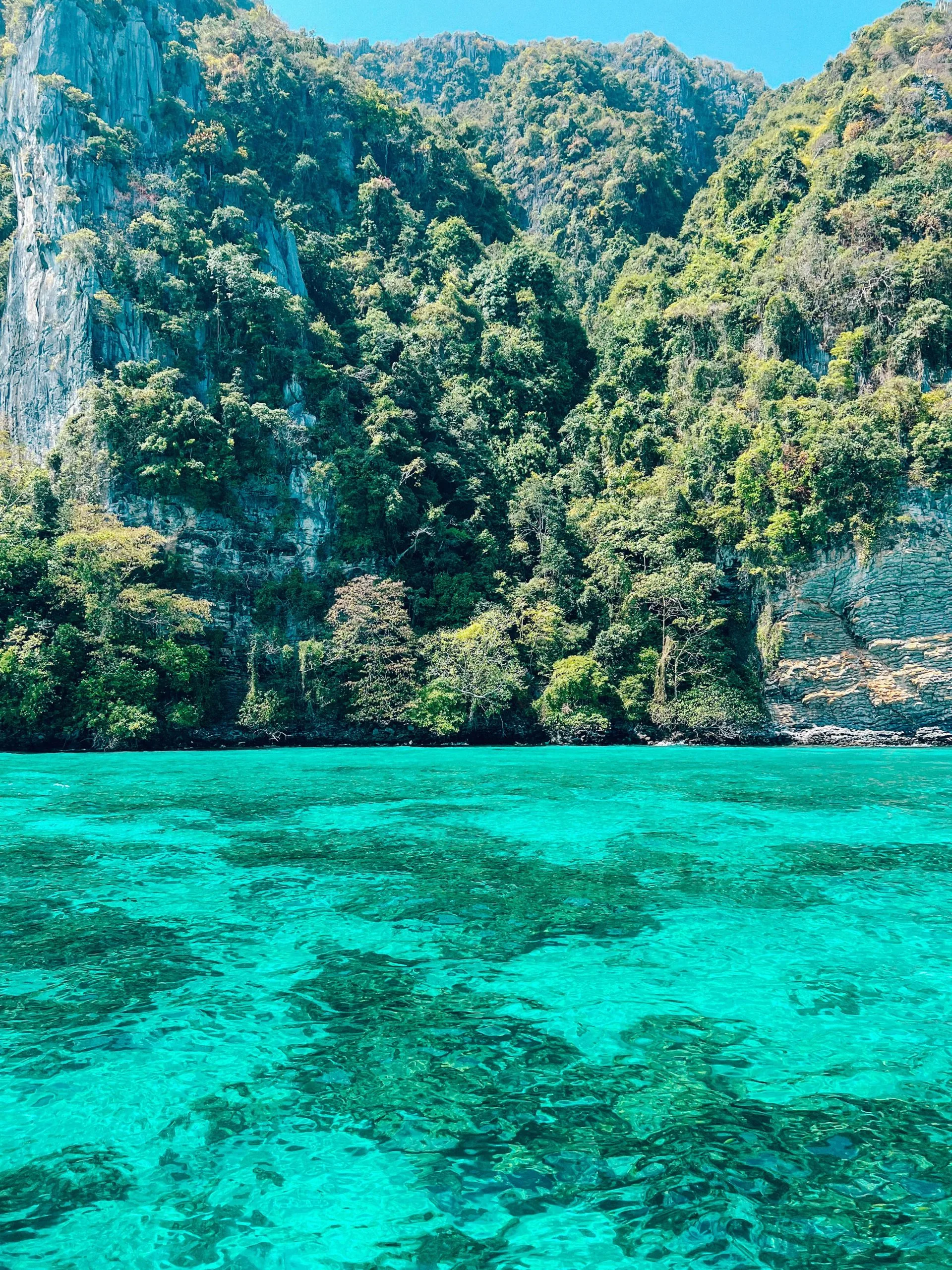 Phi Phi