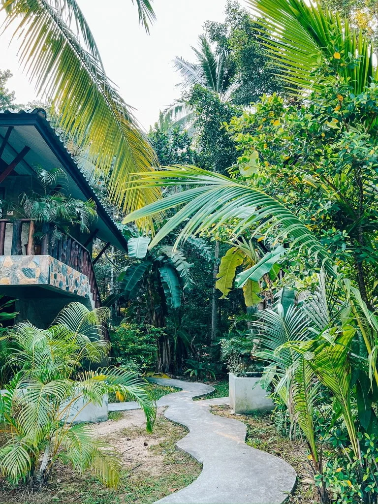 accommodation pathway wonderland healing centre