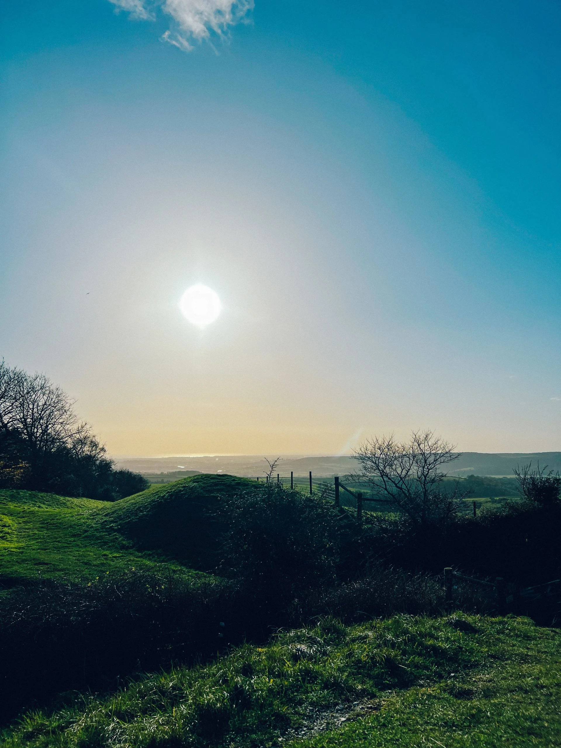 amberley south downs
