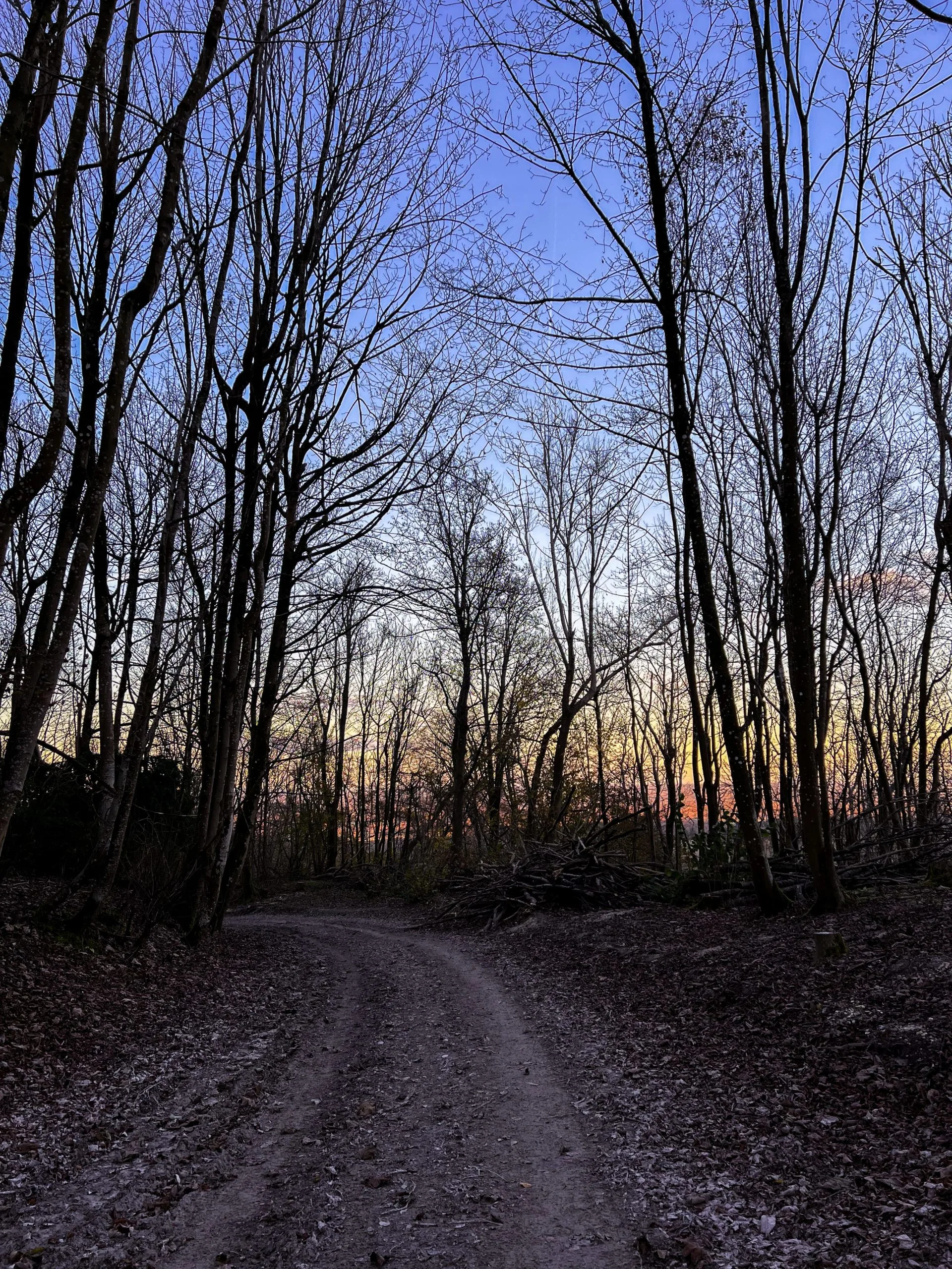 chanctonbury ring