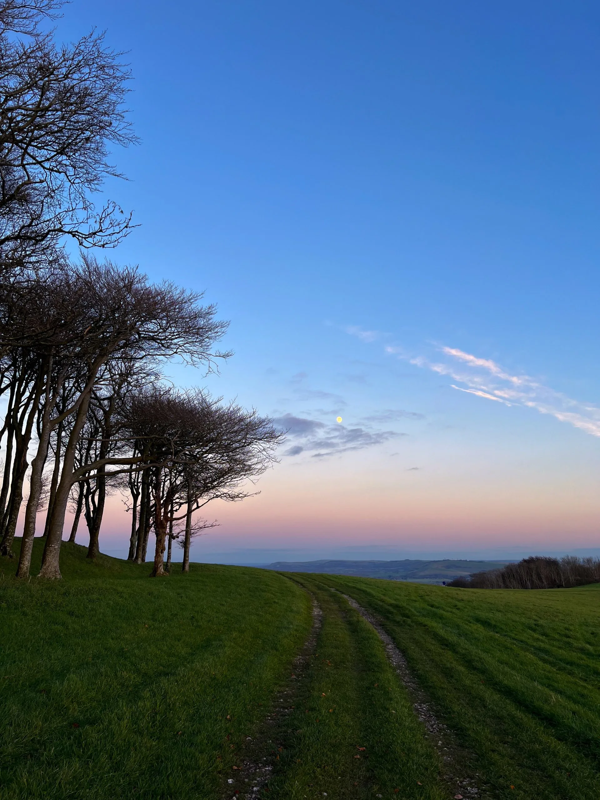 chanctonbury ring sunset