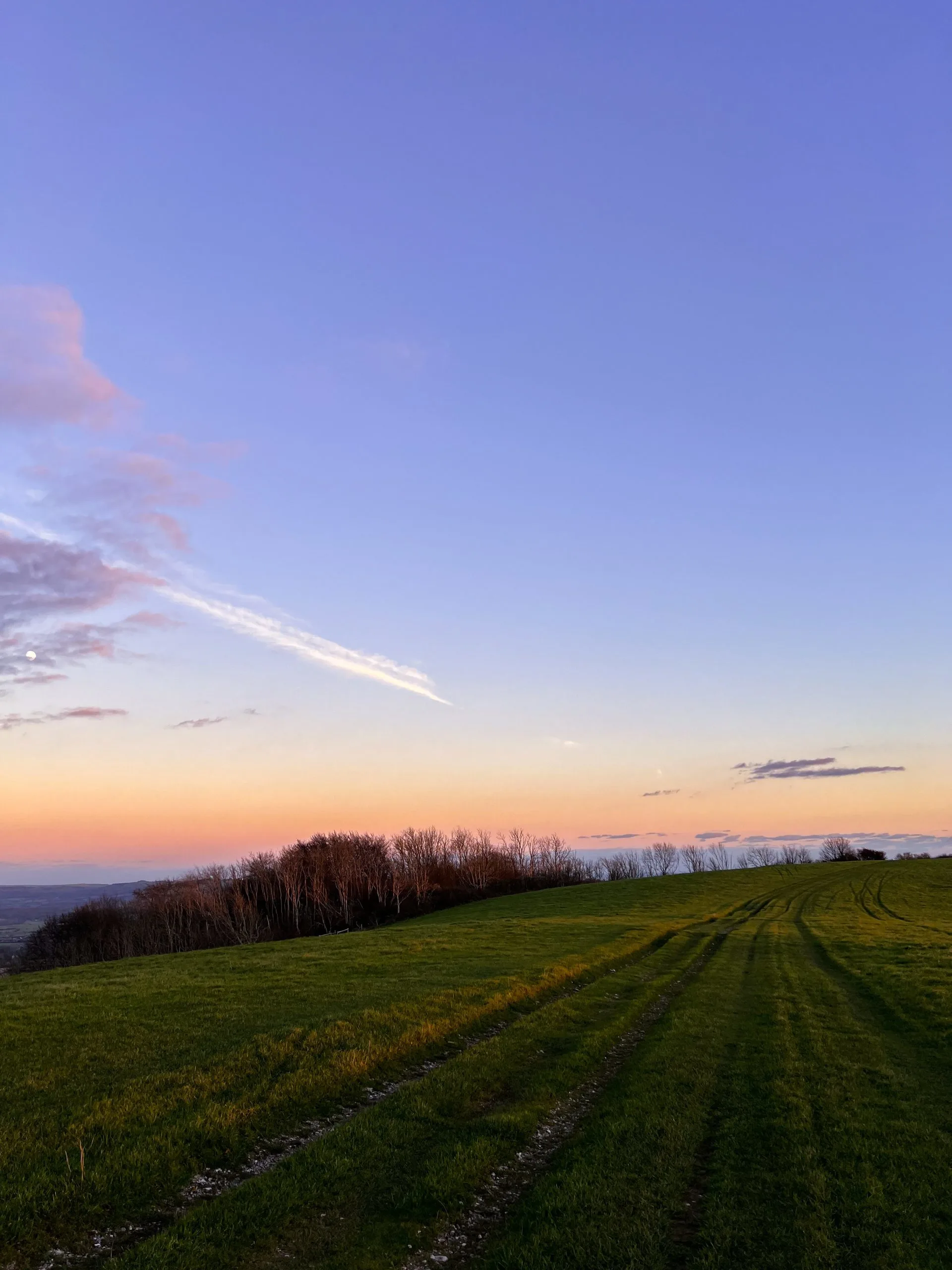 chanctonbury ring view
