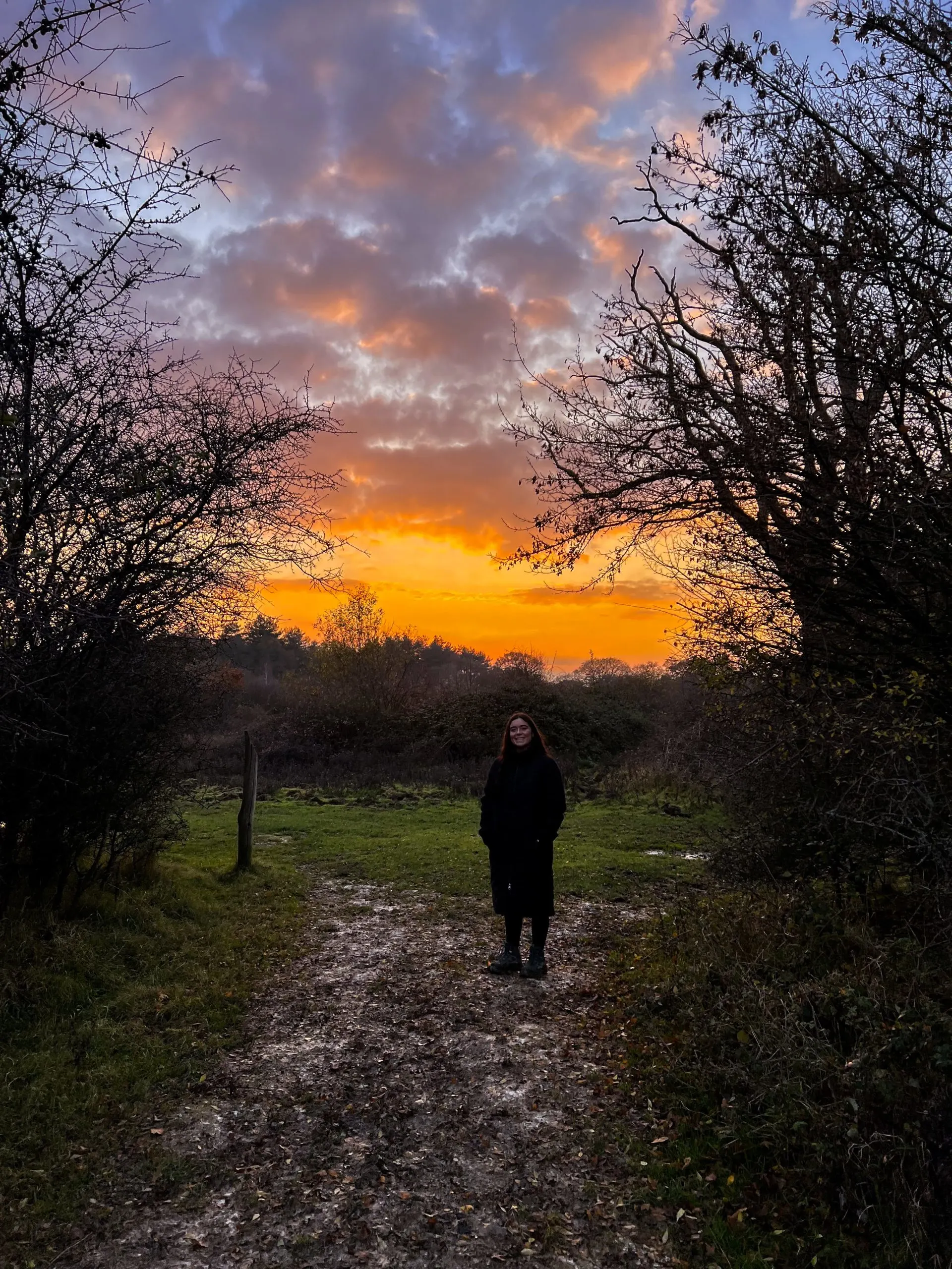 knepp at sunset