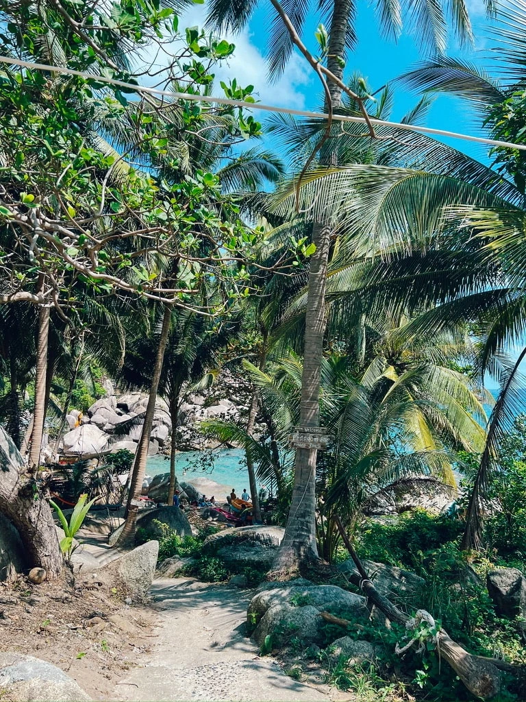 palms at hiin wong bay