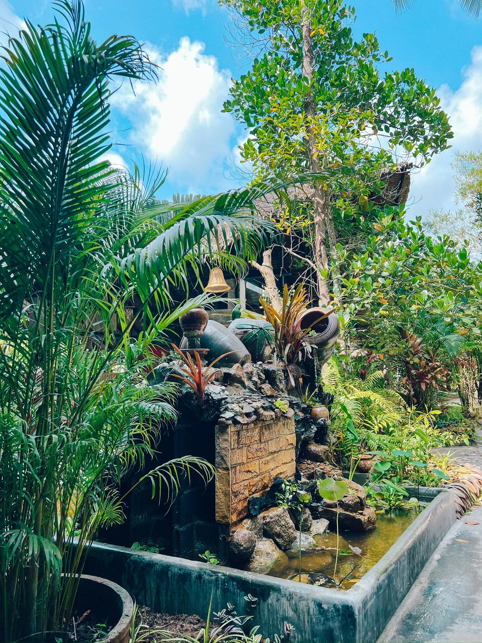 wonderland healing centre