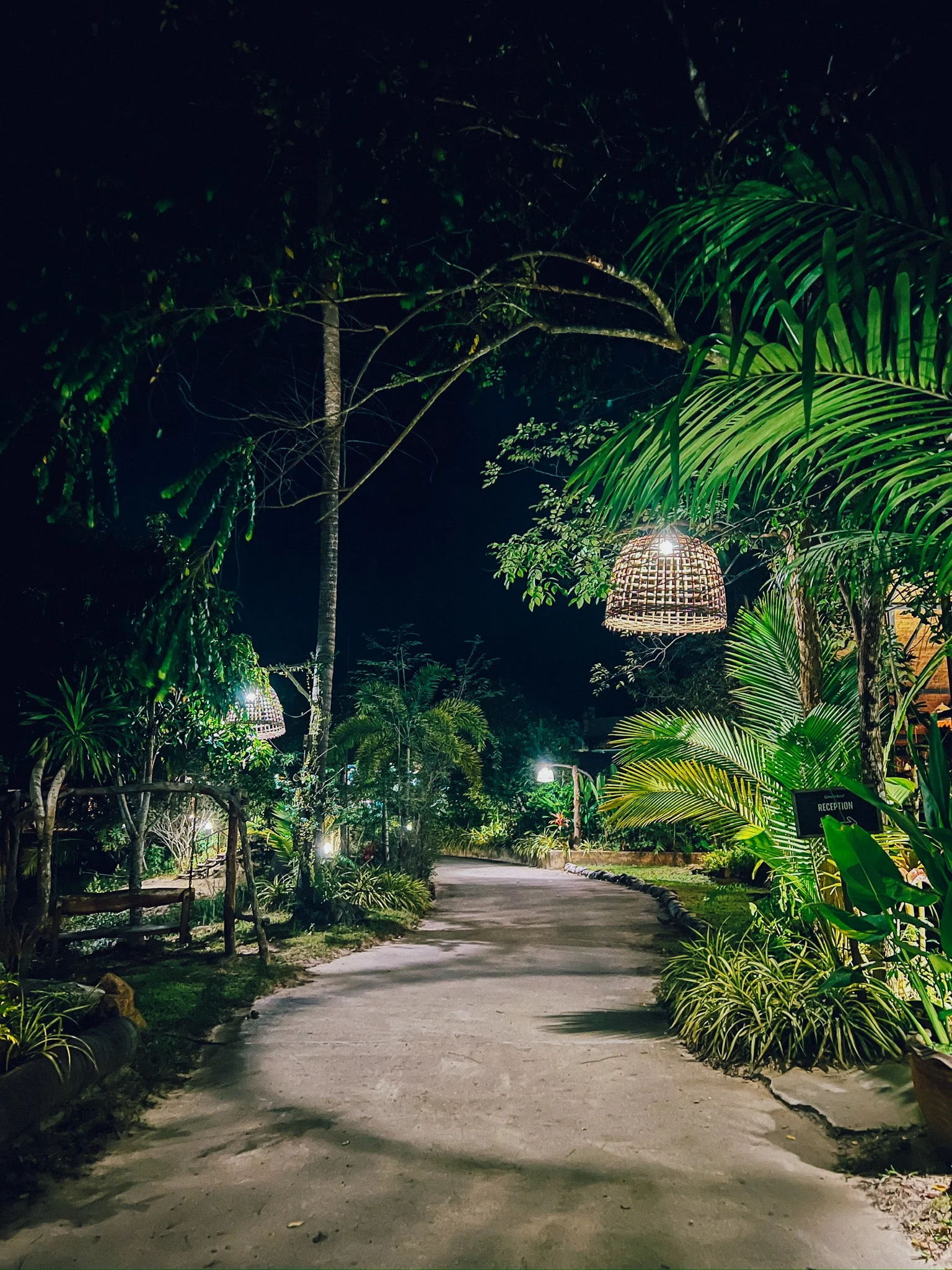 wonderland healing centre at night