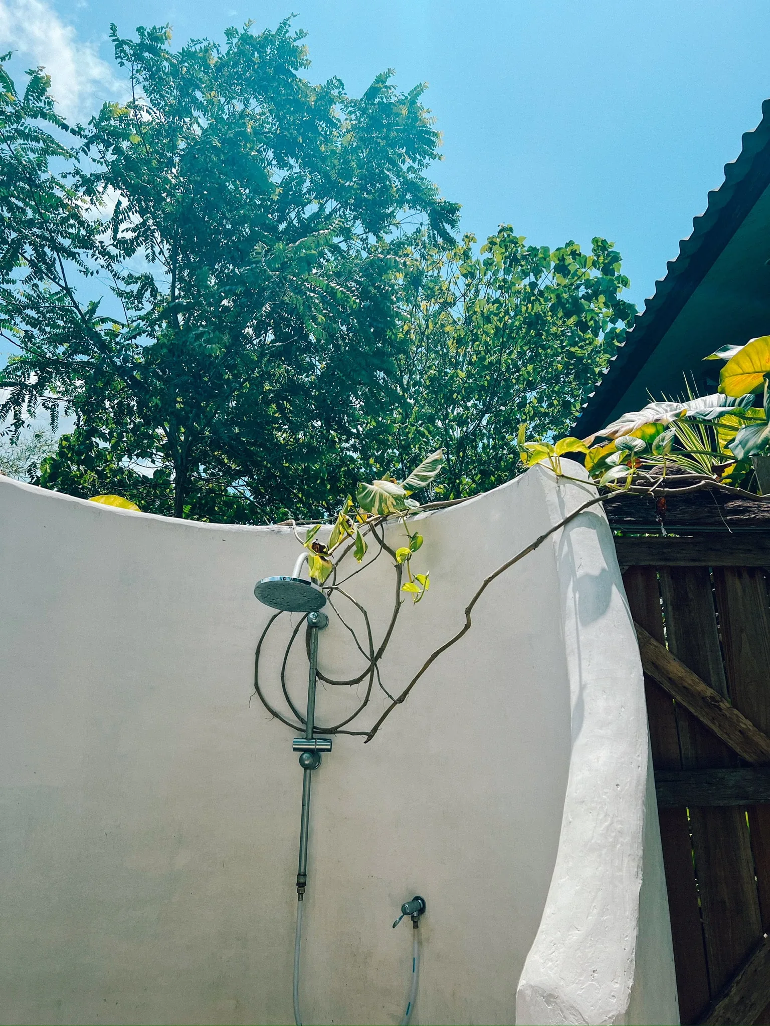 wonderland healing centre outside shower