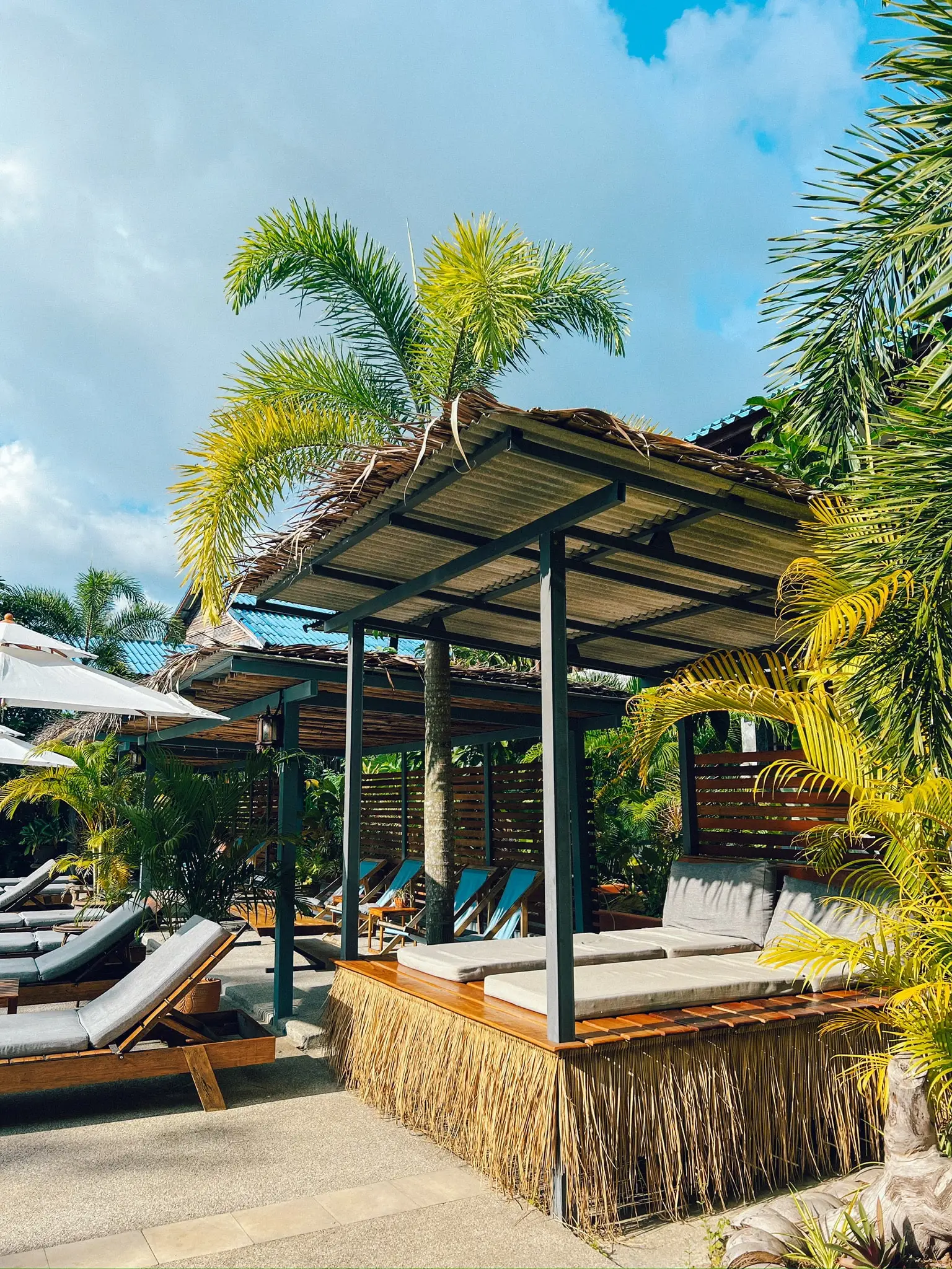 wonderland healing centre poolside