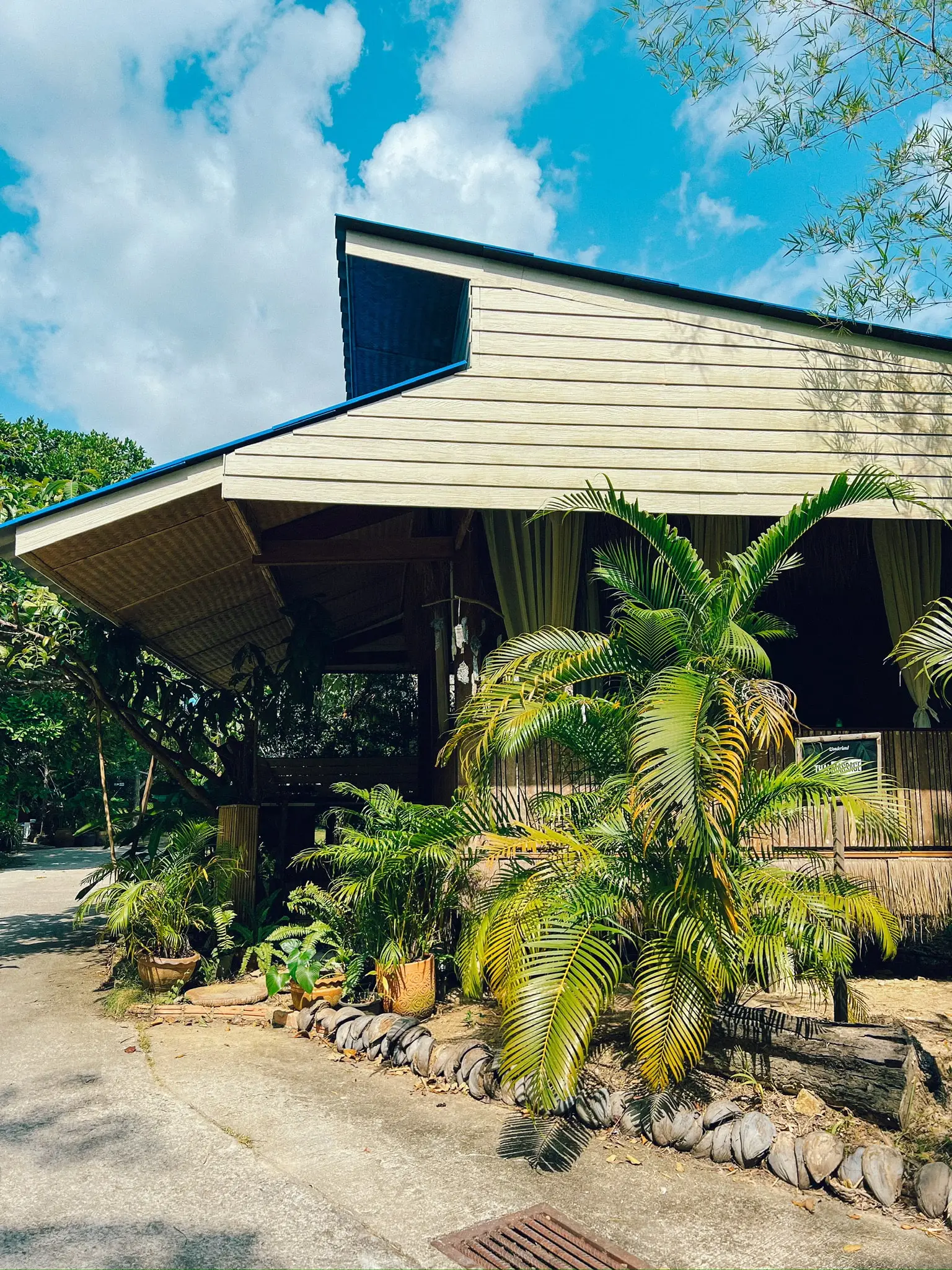wonderland healing centre thai massage